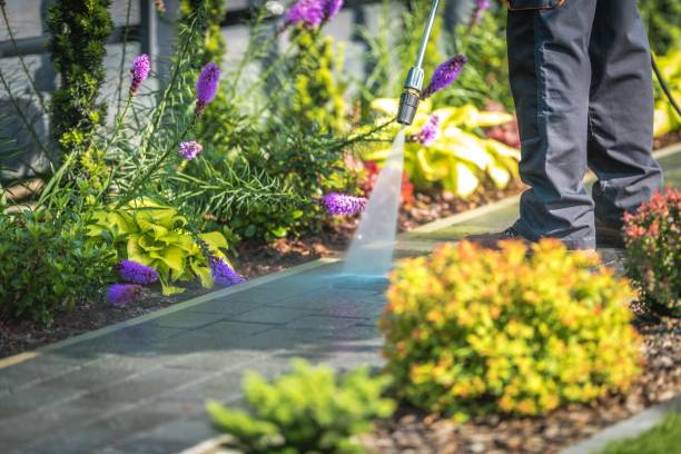 Best Parking Lot and Garage Cleaning  in East Grand Forks, MN